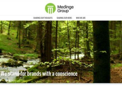 Medinge Group 30