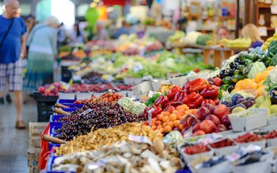 El Auge de las Marcas Agrícolas | De la Tierra a la Distinción